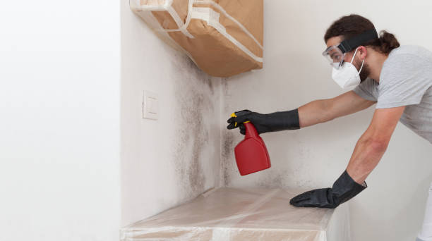 Professional Basement Mold Remediation technician working in Chadds Ford, PA