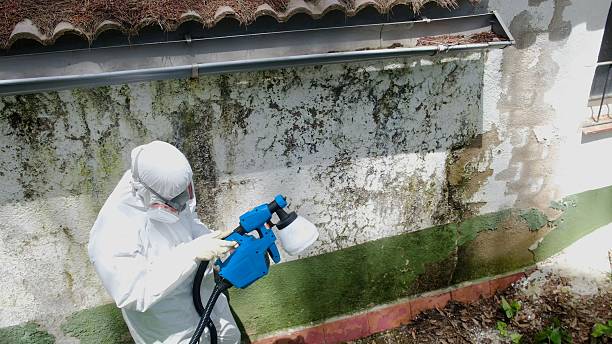 Top rated local Basement Mold Remediation specialists in Chadds Ford, PA